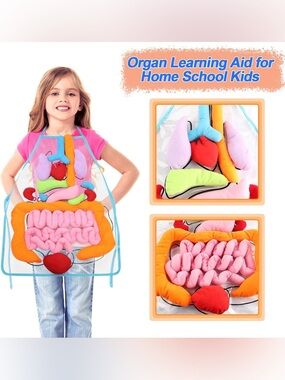 Kids Plush Anatomy Learning Apron Bright Educational Organ Toy